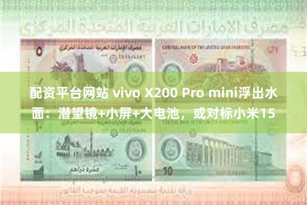 配资平台网站 vivo X200 Pro mini浮出水面：潜望镜+小屏+大电池，或对标小米15