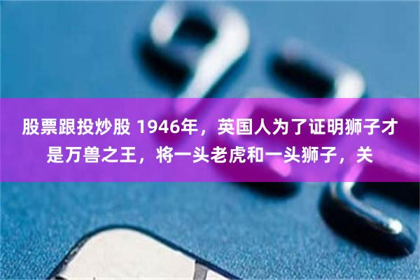 股票跟投炒股 1946年，英国人为了证明狮子才是万兽之王，将一头老虎和一头狮子，关