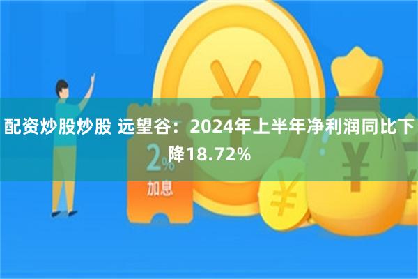 配资炒股炒股 远望谷：2024年上半年净利润同比下降18.72%