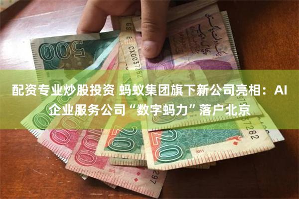 配资专业炒股投资 蚂蚁集团旗下新公司亮相：AI企业服务公司“数字蚂力”落户北京