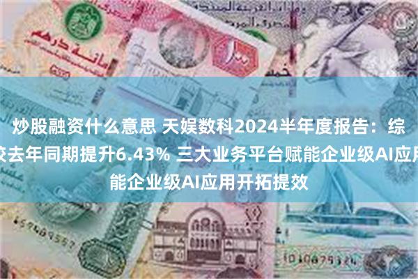 炒股融资什么意思 天娱数科2024半年度报告：综合毛利率较去年同期提升6.43% 三大业务平台赋能企业级AI应用开拓提效