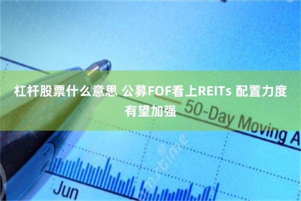 杠杆股票什么意思 公募FOF看上REITs 配置力度有望加强