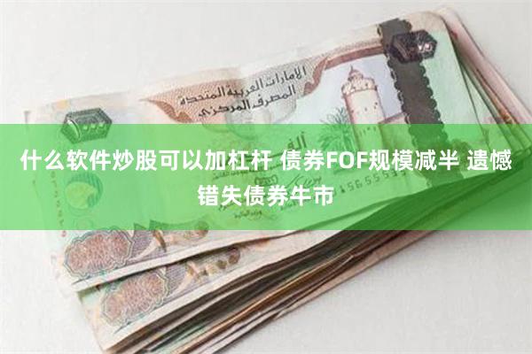 什么软件炒股可以加杠杆 债券FOF规模减半 遗憾错失债券牛市
