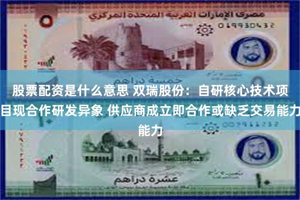 股票配资是什么意思 双瑞股份：自研核心技术项目现合作研发异象 供应商成立即合作或缺乏交易能力