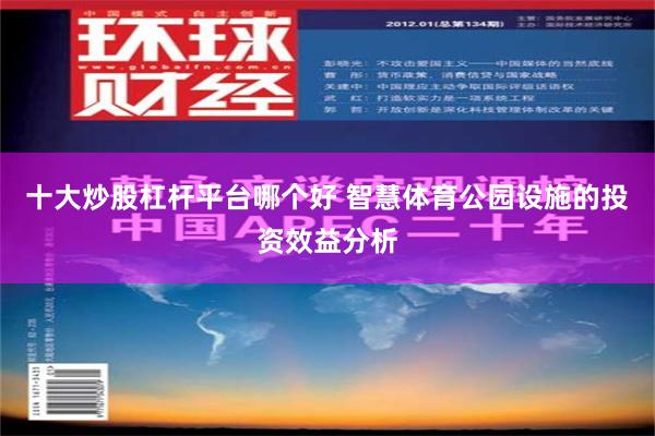十大炒股杠杆平台哪个好 智慧体育公园设施的投资效益分析