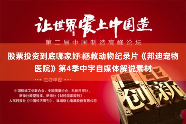股票投资到底哪家好 拯救动物纪录片《邦迪宠物医院》第4季中字自媒体解说素材