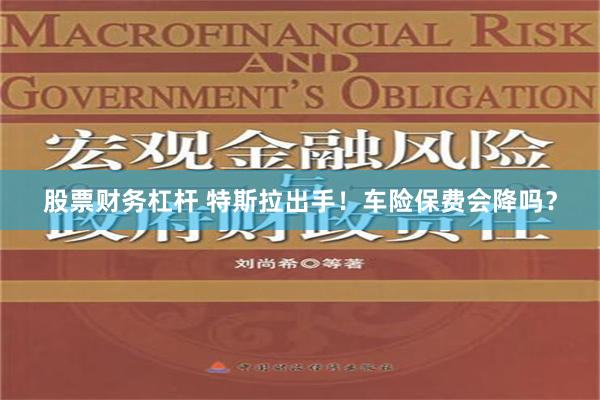 股票财务杠杆 特斯拉出手！车险保费会降吗？