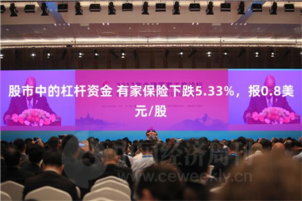 股市中的杠杆资金 有家保险下跌5.33%，报0.8美元/股