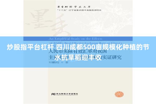 炒股指平台杠杆 四川成都500亩规模化种植的节水抗旱稻迎丰收