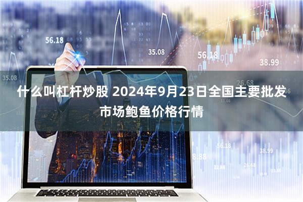 什么叫杠杆炒股 2024年9月23日全国主要批发市场鲍鱼价格行情