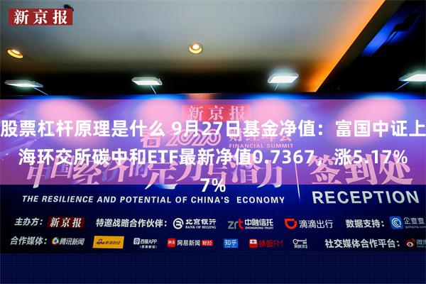 股票杠杆原理是什么 9月27日基金净值：富国中证上海环交所碳中和ETF最新净值0.7367，涨5.17%