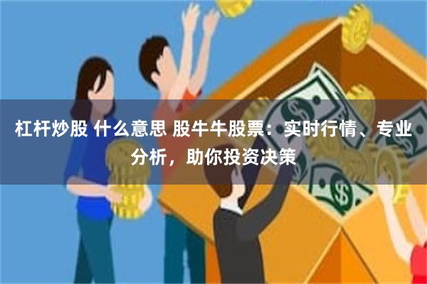 杠杆炒股 什么意思 股牛牛股票：实时行情、专业分析，助你投资决策