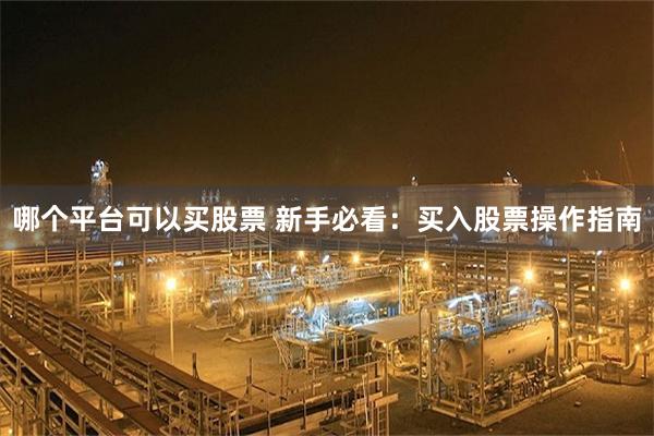 哪个平台可以买股票 新手必看：买入股票操作指南