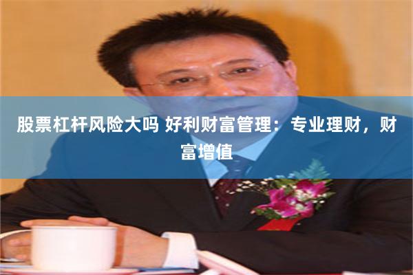 股票杠杆风险大吗 好利财富管理：专业理财，财富增值