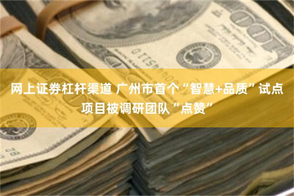 网上证劵杠杆渠道 广州市首个“智慧+品质”试点项目被调研团队“点赞”