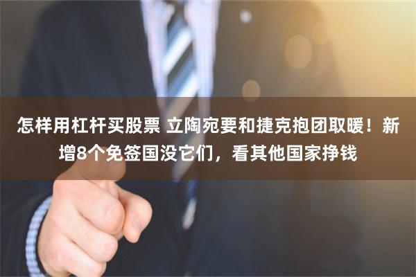 怎样用杠杆买股票 立陶宛要和捷克抱团取暖！新增8个免签国没它们，看其他国家挣钱