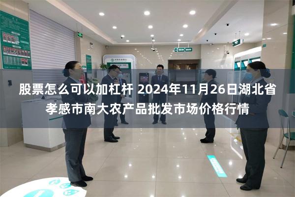 股票怎么可以加杠杆 2024年11月26日湖北省孝感市南大农产品批发市场价格行情