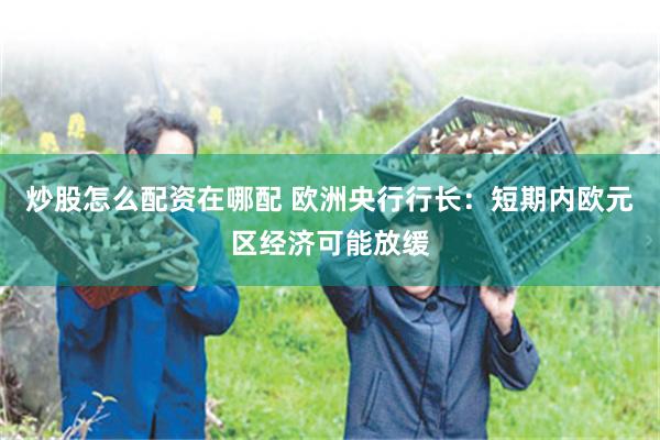炒股怎么配资在哪配 欧洲央行行长：短期内欧元区经济可能放缓