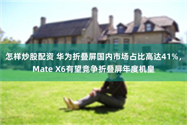 怎样炒股配资 华为折叠屏国内市场占比高达41%，Mate X6有望竞争折叠屏年度机皇