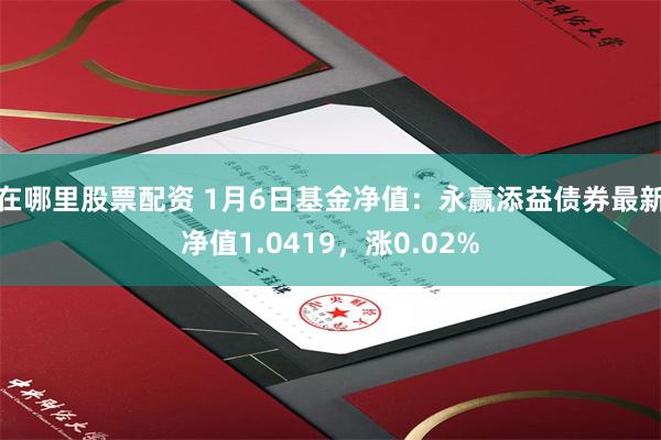 在哪里股票配资 1月6日基金净值：永赢添益债券最新净值1.0419，涨0.02%