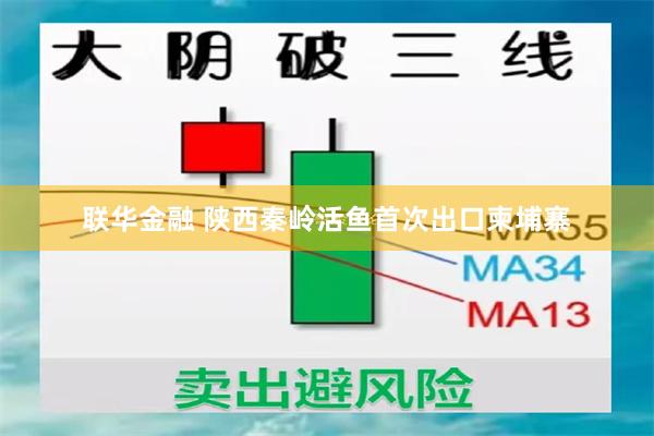 联华金融 陕西秦岭活鱼首次出口柬埔寨