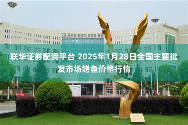 联华证券配资平台 2025年1月28日全国主要批发市场鳝鱼价格行情