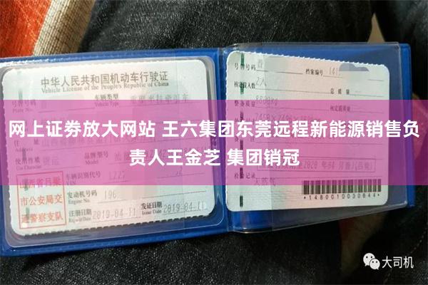 网上证劵放大网站 王六集团东莞远程新能源销售负责人王金芝 集团销冠