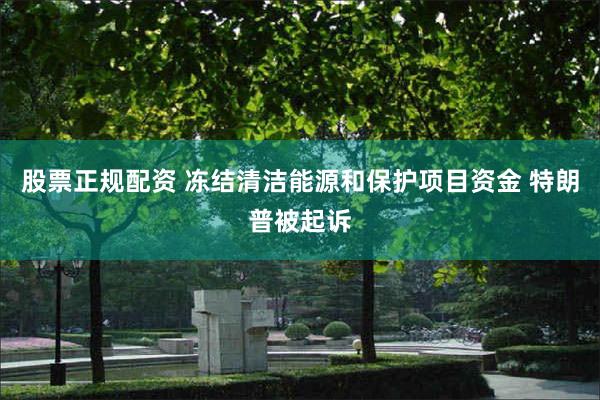 股票正规配资 冻结清洁能源和保护项目资金 特朗普被起诉