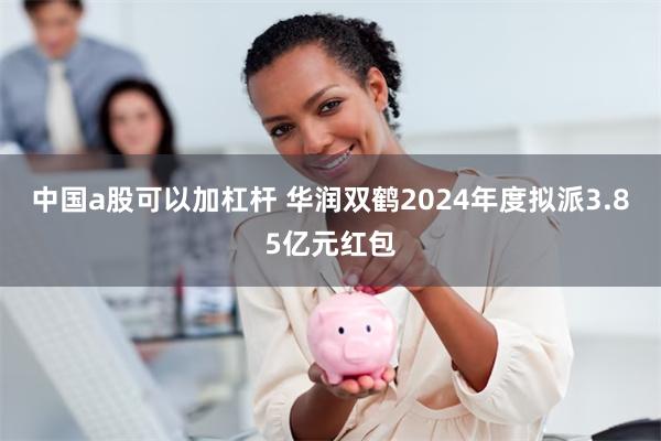 中国a股可以加杠杆 华润双鹤2024年度拟派3.85亿元红包