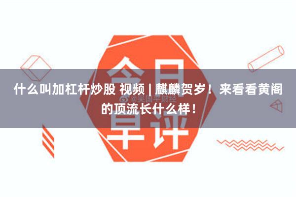 什么叫加杠杆炒股 视频 | 麒麟贺岁！来看看黄阁的顶流长什么样！