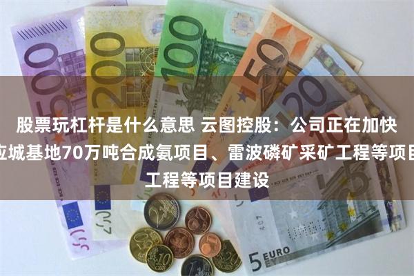 股票玩杠杆是什么意思 云图控股：公司正在加快推进应城基地70万吨合成氨项目、雷波磷矿采矿工程等项目建设