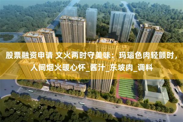 股票融资申请 文火两时守美味：玛瑙色肉轻颤时，人间烟火暖心怀_酱汁_东坡肉_调料