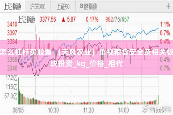怎么杠杆买股票 【天风农业】重视粮食安全及相关板块投资_kg_价格_祖代