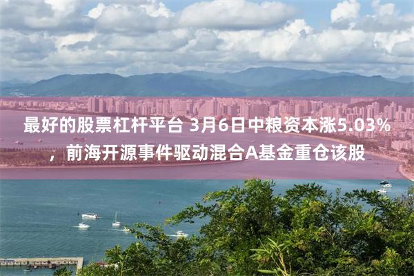 最好的股票杠杆平台 3月6日中粮资本涨5.03%，前海开源事件驱动混合A基金重仓该股