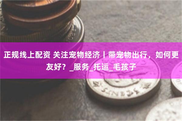 正规线上配资 关注宠物经济丨带宠物出行，如何更友好？_服务_托运_毛孩子