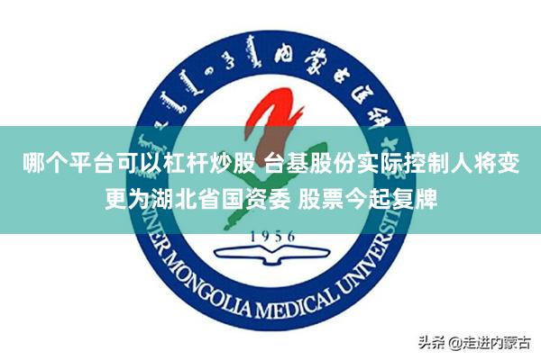 哪个平台可以杠杆炒股 台基股份实际控制人将变更为湖北省国资委 股票今起复牌