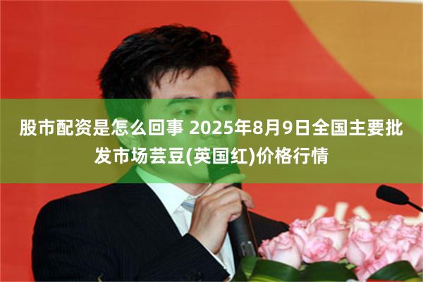 股市配资是怎么回事 2025年8月9日全国主要批发市场芸豆(英国红)价格行情