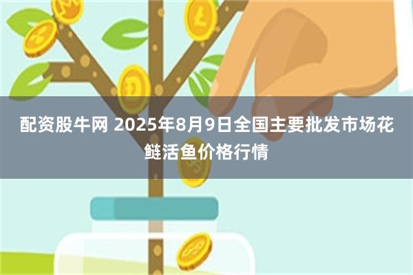 配资股牛网 2025年8月9日全国主要批发市场花鲢活鱼价格行情