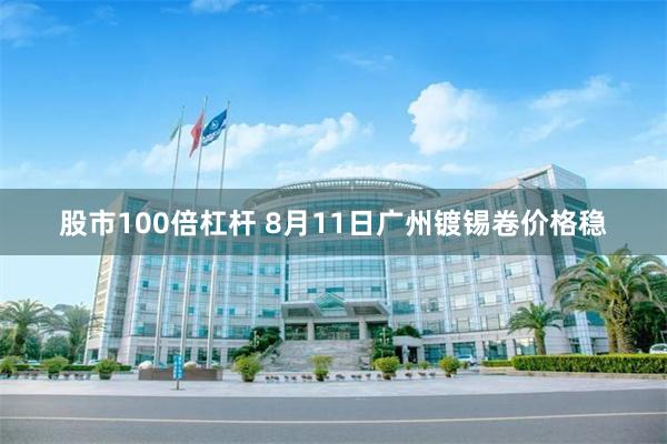 股市100倍杠杆 8月11日广州镀锡卷价格稳