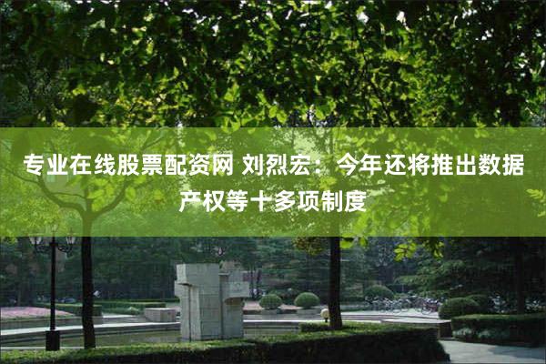 专业在线股票配资网 刘烈宏：今年还将推出数据产权等十多项制度