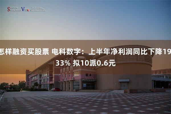 怎样融资买股票 电科数字：上半年净利润同比下降19.33% 拟10派0.6元