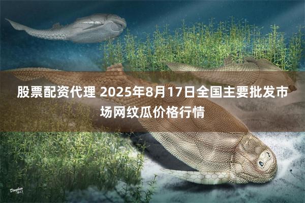 股票配资代理 2025年8月17日全国主要批发市场网纹瓜价格行情