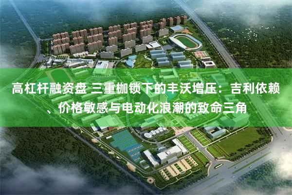 高杠杆融资盘 三重枷锁下的丰沃增压：吉利依赖、价格敏感与电动化浪潮的致命三角