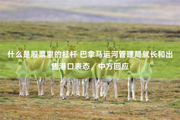 什么是股票里的杠杆 巴拿马运河管理局就长和出售港口表态，中方回应