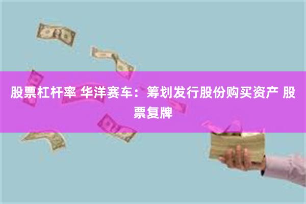 股票杠杆率 华洋赛车：筹划发行股份购买资产 股票复牌
