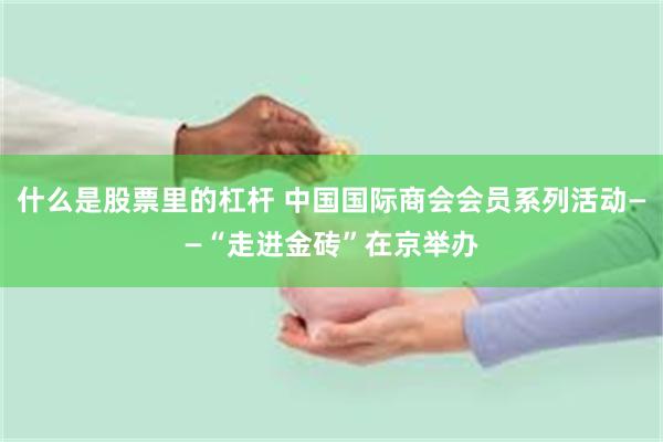 什么是股票里的杠杆 中国国际商会会员系列活动——“走进金砖”在京举办