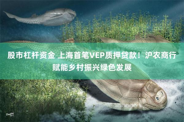 股市杠杆资金 上海首笔VEP质押贷款！沪农商行赋能乡村振兴绿色发展
