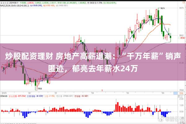 炒股配资理财 房地产高薪退潮：“千万年薪”销声匿迹，郁亮去年薪水24万