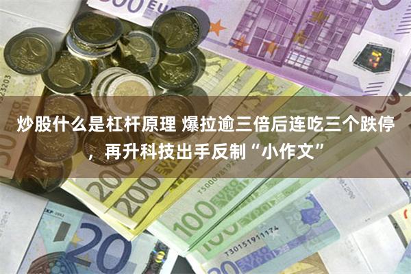 炒股什么是杠杆原理 爆拉逾三倍后连吃三个跌停，再升科技出手反制“小作文”