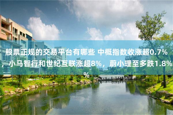 股票正规的交易平台有哪些 中概指数收涨超0.7%，小马智行和世纪互联涨超8%，蔚小理至多跌1.8%